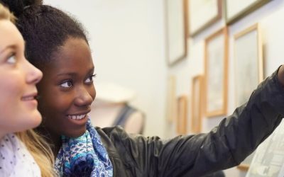 Qué tipos de público reciben las instituciones culturales